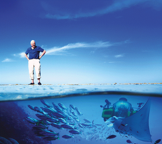 David Attenborough copy