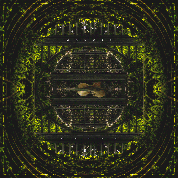 theviolinsong copy