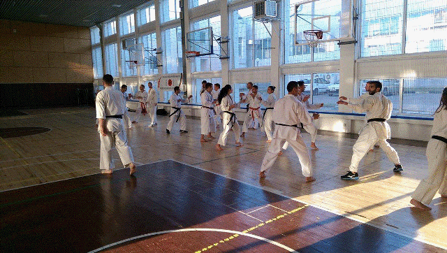 Seminar_ZlatniPiasuci (7) copy