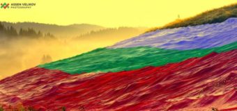 ХИЛЯДИ ЗНАМЕНА В ЮЖНИЯ ПАРК ЗА ДЕНЯ НА НЕЗАВИСИМОСТТА