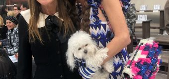Пуделът Саша отново сред ВИП-гостите на Chanel