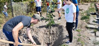1000 доброволци на инициативата „Моят зелен град“ почистиха над 30 км крайбрежни зони