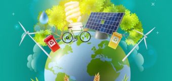 Устойчивото развитие и екологизмът – двата стожера на зелената идея
