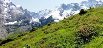 Запишете се на курс за планински водачи – летен профил