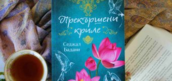 „Прекършени криле“ от Седжал Бадани – за силата да простиш въпреки белезите