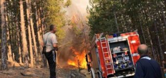 110 декара опожарени гори в Твърдица ще бъдат възстановени с подкрепата на Нестле България