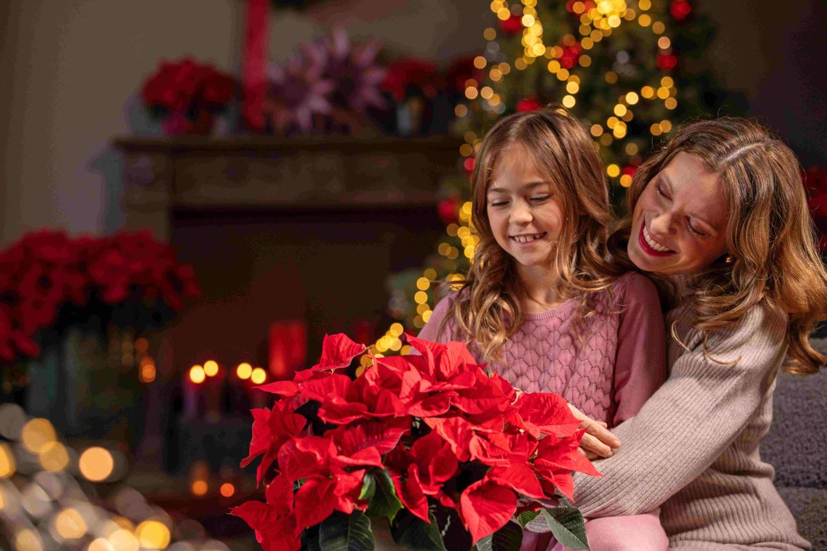 Фотокредит: „Stars for Europe“